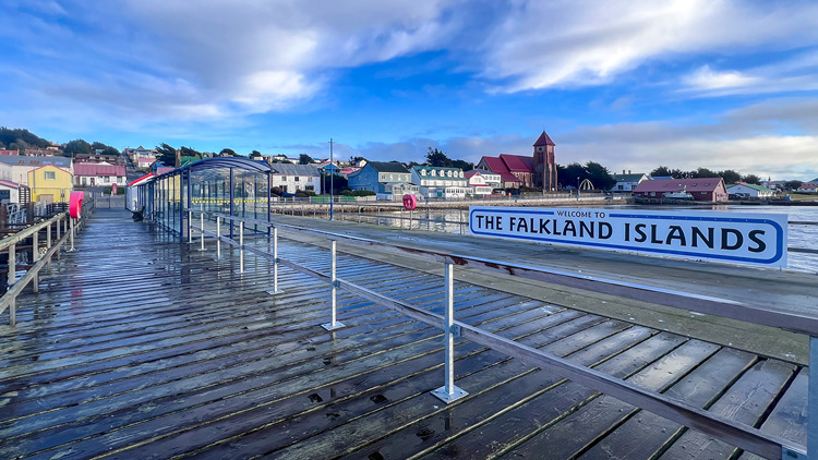falklands canopy 3